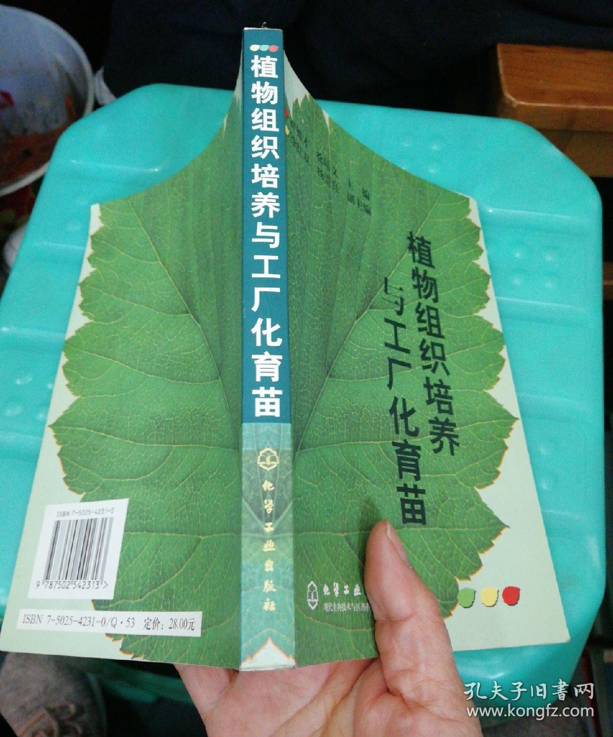 植物组织培养 现代农林牧渔技术推广的关键驱动力