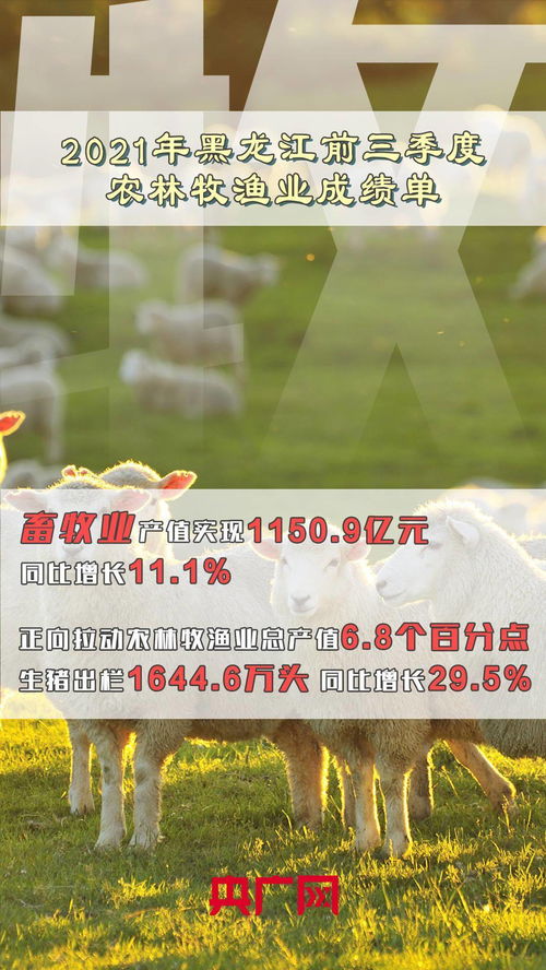 技术创新助力前三季度农林牧渔业交出亮眼成绩单